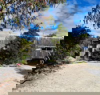 Oystercatcher - Accommodation Perth