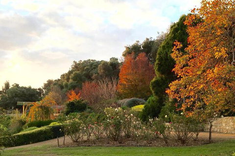 The Garden Cottage At The Olives - Accommodation Perth 2