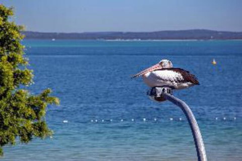 2 Bedroom Apartment Little Hut Unit 3 20 Kurrawa Close - Accommodation Perth 2