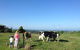 MilaViews - thumb 0