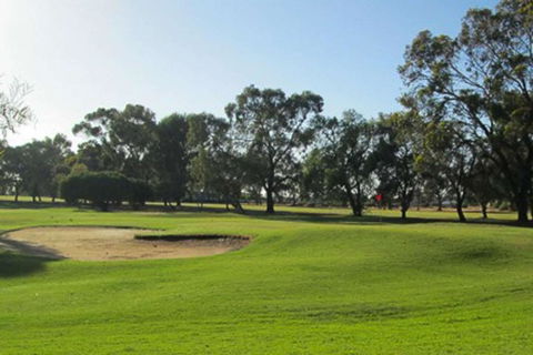 Barmera Country Club Motor Inn - Perth Resorts 3