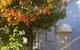 Maison Blue Pty Ltd Adelaide - thumb 0