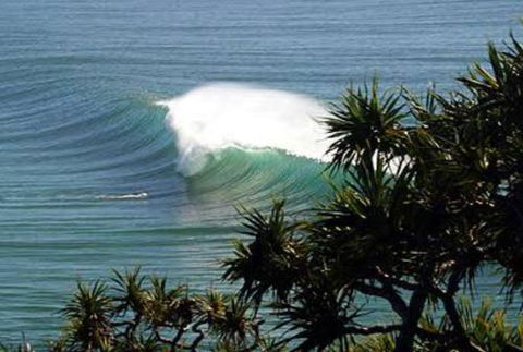 Cabarita Studio - Perth Resorts 0