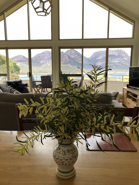 Freycinet Beach House - Accommodation Perth 4