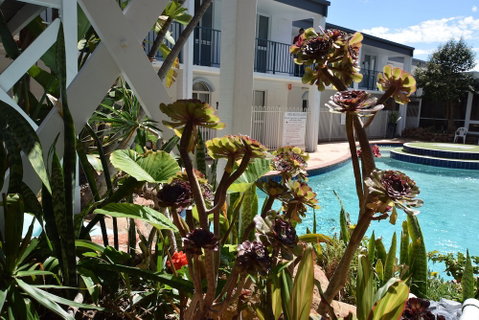 West Beach Lagoon 211 - Great Views - Accommodation Perth 2