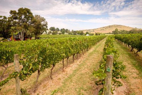 Fergusson Winery Homestead Accomodation - Accommodation Perth 3