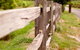Fergusson Winery Homestead Accomodation - thumb 6