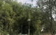 Tall Timbers Caravan Park Kempsey - thumb 4