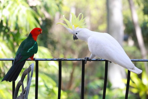 Palm Beach Bed & Breakfast - Accommodation Perth 4