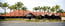 Nuriootpa Vine Inn Hotel Motel Ltd - Accommodation Perth 0
