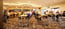 Nuriootpa Vine Inn Hotel Motel Ltd - Accommodation Perth 3
