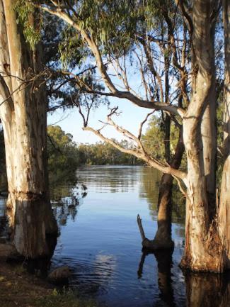 Barham Riverland Motel - Accommodation Perth 1