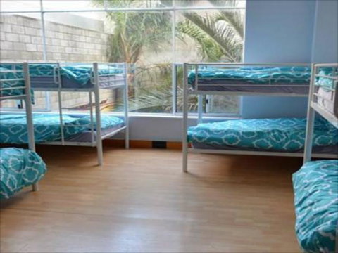 Wombat Backpackers - Accommodation Perth 5
