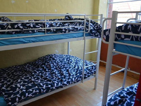 Wombat Backpackers - Accommodation Perth 2
