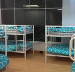 Wombat Backpackers - Accommodation Perth