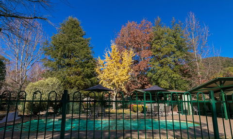 The Birch House - Silver Birches - Accommodation Perth 1