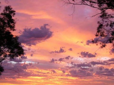 Sunset View Bb Forbes Nsw - Perth Resorts 0