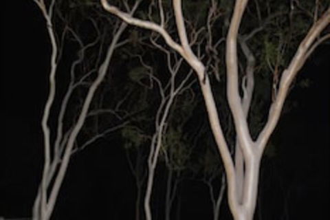Sunbird Motel - Accommodation Perth 4