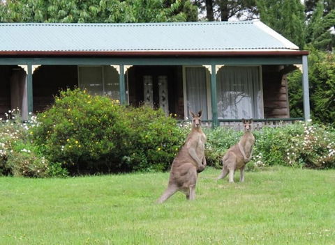Cedar Lodge Cabins - Perth Resorts 1
