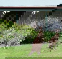Cedar Lodge Cabins - Perth Resorts