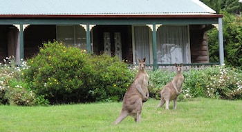 Cedar Lodge Cabins - Perth Resorts 0