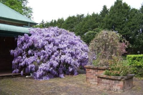 Heronswood House B & B - Perth Resorts 2