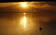 Meningie's Waterfront Motel - thumb 3