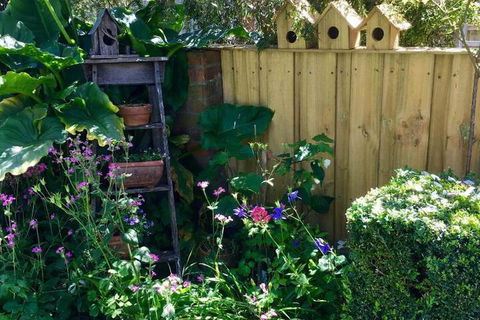 Aggies Bed & Breakfast - Perth Resorts 7