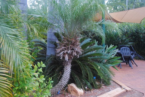 Kingaroy Holiday Park - Accommodation Perth 1