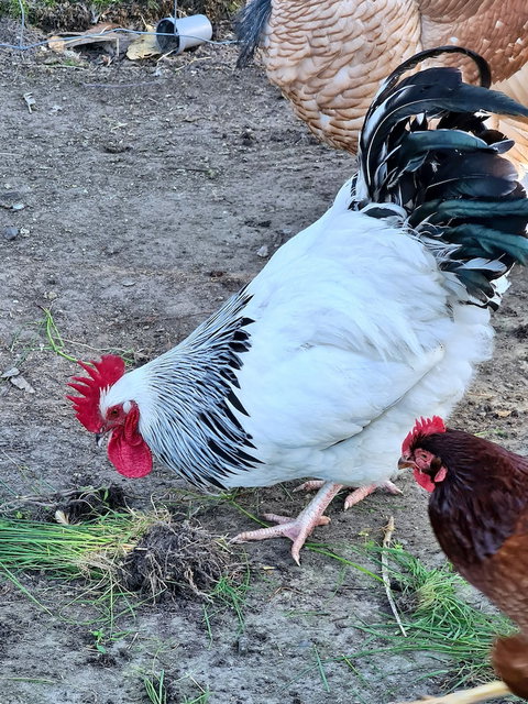 Halls Haven Holiday Units - Perth Resorts 2