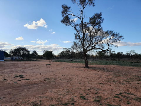 Mungo Roo - Perth Resorts 4