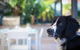 Bay Dream Believer 16 Verona Road Pet Friendly Boat Parking & WIFI - thumb 4