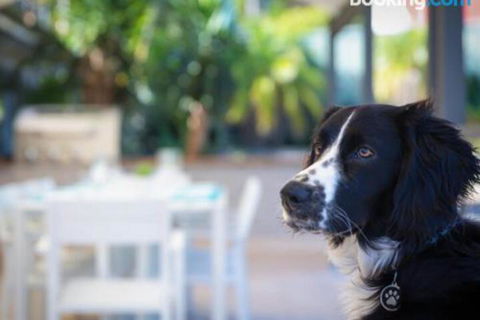 Bay Dream Believer 16 Verona Road Pet Friendly Boat Parking & WIFI - Accommodation Perth 4