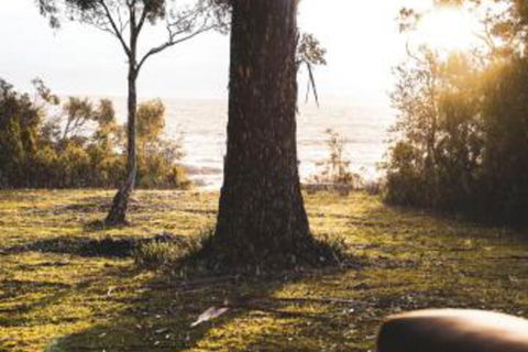 Seagrass On Sunset Bay - Accommodation Perth 1