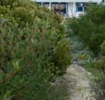 Polperro a quintessential seaside experience - Accommodation Perth
