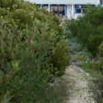 Polperro A Quintessential Seaside Experience - Accommodation Perth 0