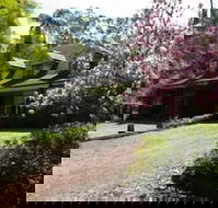 Curtis Falls Apartment - Accommodation Perth