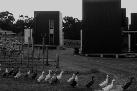 Barn Hives Yallingup - Perth Resorts 1