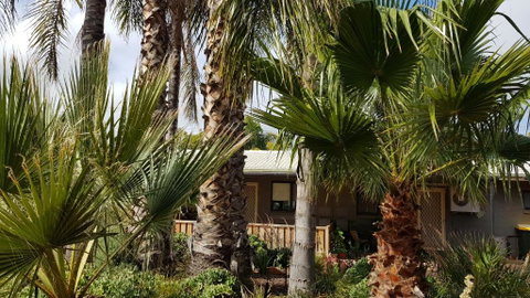 Red Ochre â€“ Large 1BR With Private Courtyard - Accommodation Perth 3