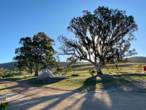 Mansfield Glamping - Accommodation Perth 3