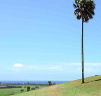 ROSE VALLEY Gerringong 4pm check out Sundays - Accommodation Perth