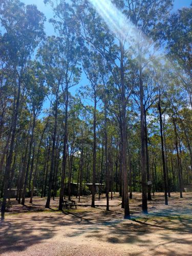 Lakes Entrance Log Cabins - Accommodation Perth 1