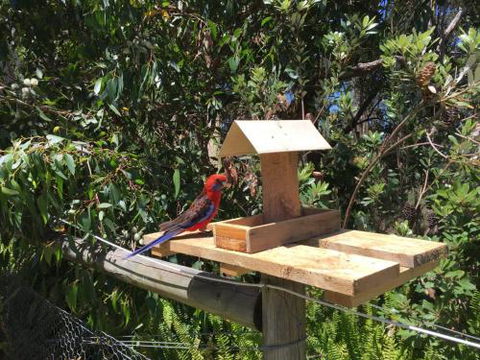 Rosella Cottage Waratah Bay - Accommodation Perth 1
