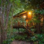 Wildwood - Accommodation Perth 0