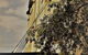 Caledonian Hotel - thumb 0