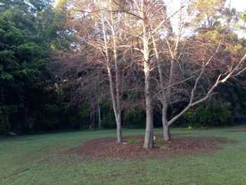 Boambee Retreat - Accommodation Perth 4