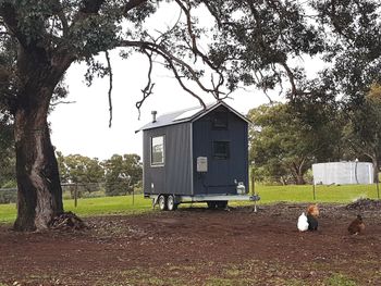 Big Tiny Dale View Tiny House - Accommodation Perth 1