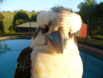 Belle La Vie B & B - Accommodation Perth 3