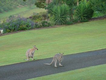 Belle La Vie B & B - Accommodation Perth 5