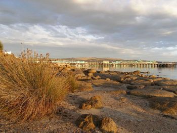 Port Lincoln Holiday Houses - Accommodation Perth 4